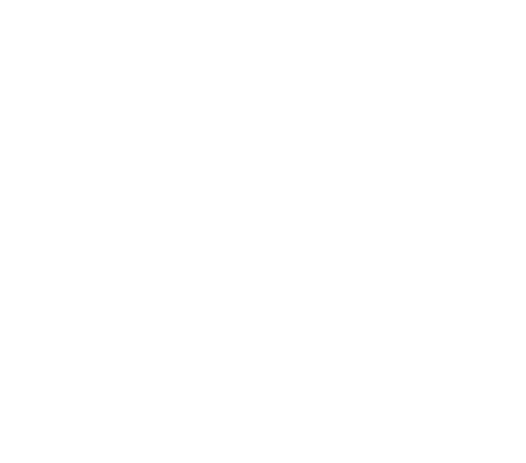 Icône 01net